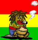 image pour juju